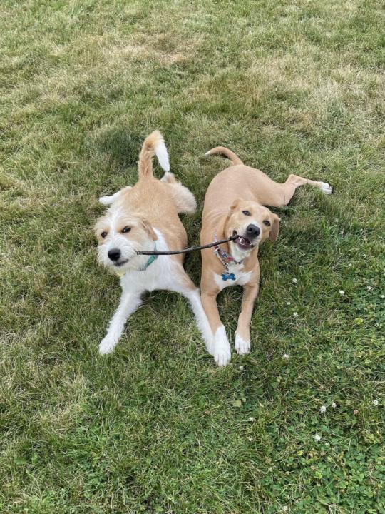 Cute pet pics...I'll start