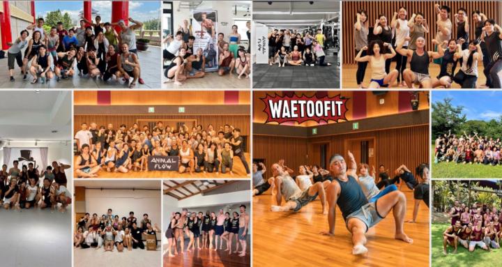 Animal Flow Performance 🐾