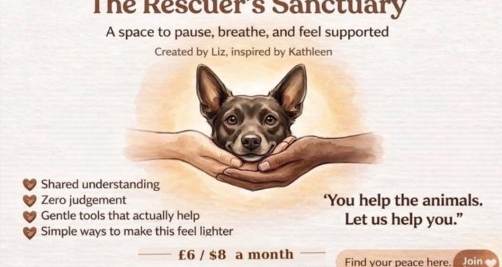 The Rescuers Sanctuary 