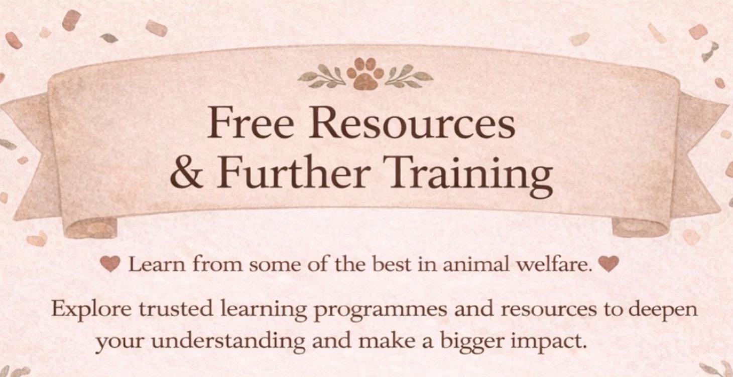 Free Resources & Further Training
