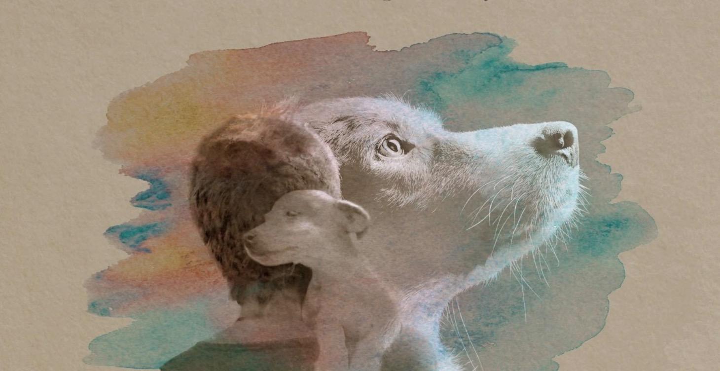 Stray Stories:  A Stray Story – A Dogumentary