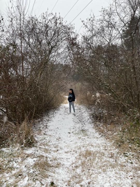Jordan Nim