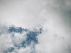 曉 劉