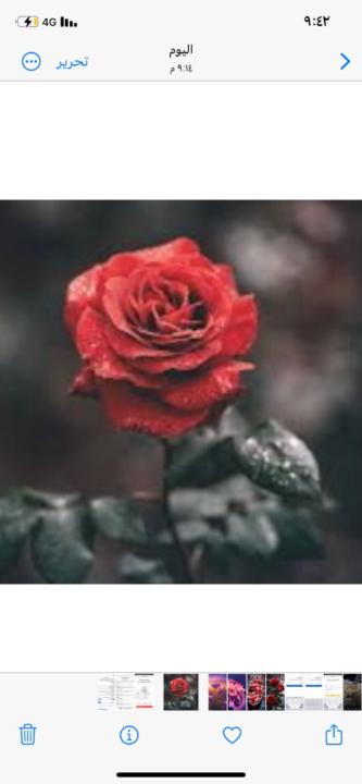 Amjad A