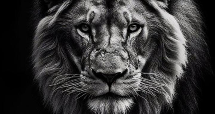 Naturel est la sélection