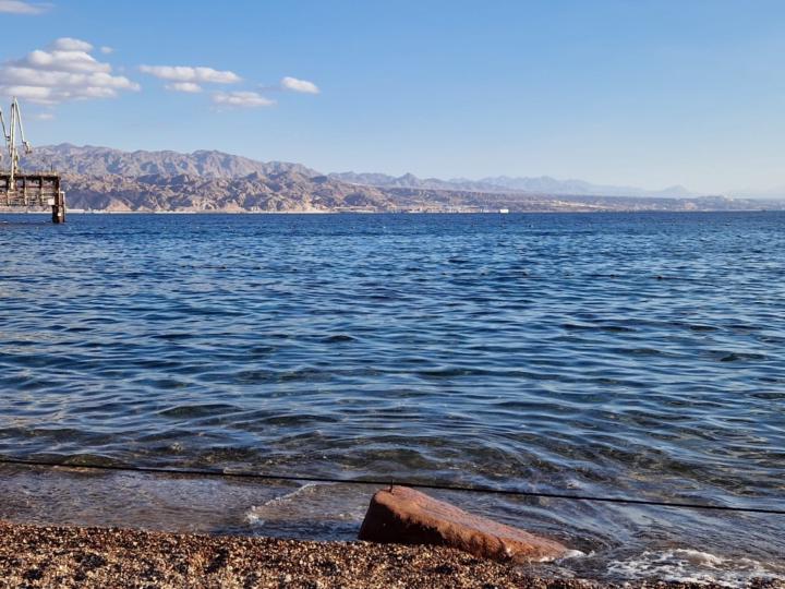 אביגיל קליין