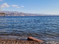 אביגיל קליין