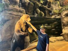 Alexander Mozuraitis