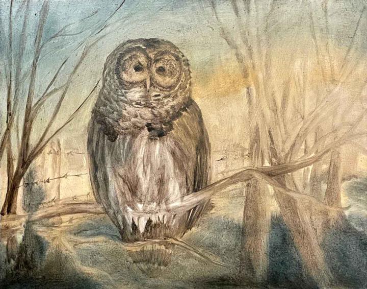 Working on the owl