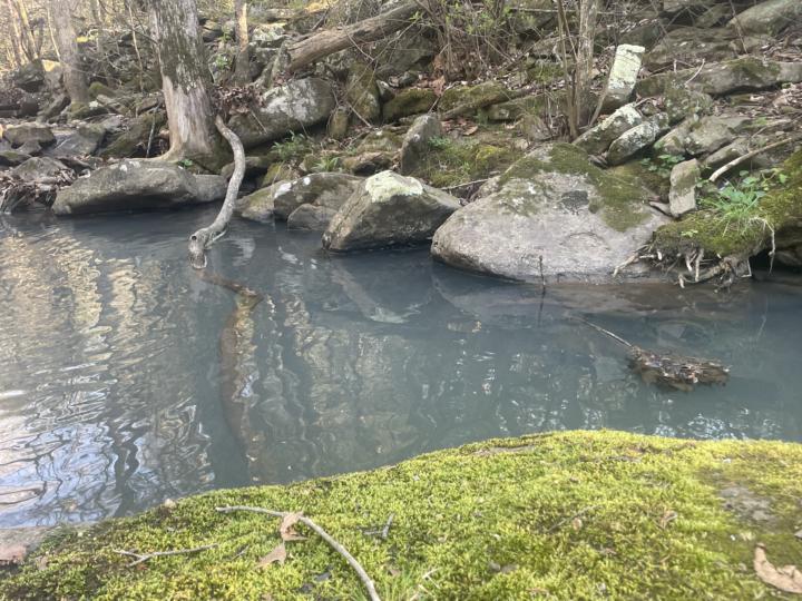 Yesterday's Nature Journal entry was a video