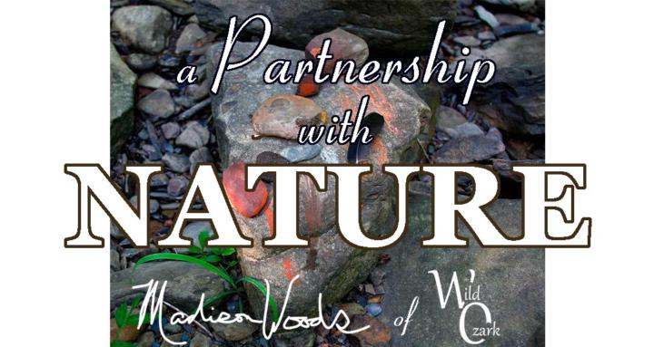 Partnership with NATURE