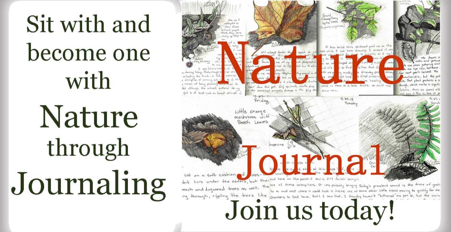 Nature Journaling!