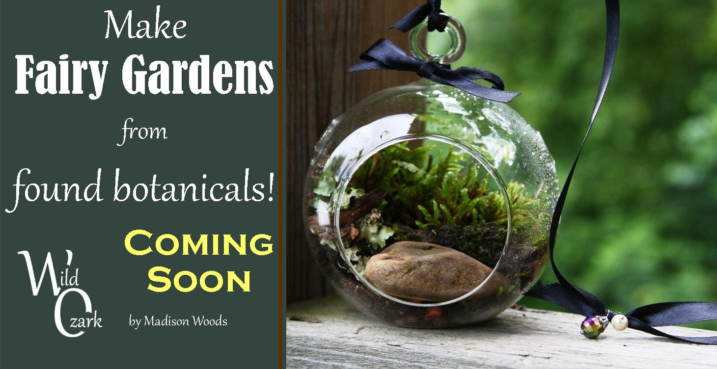 Make Fairy Gardens