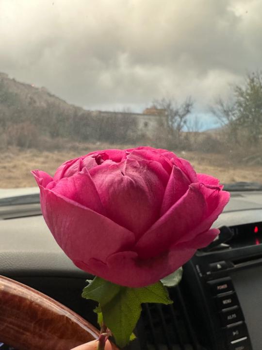 عبدربه الزهراني