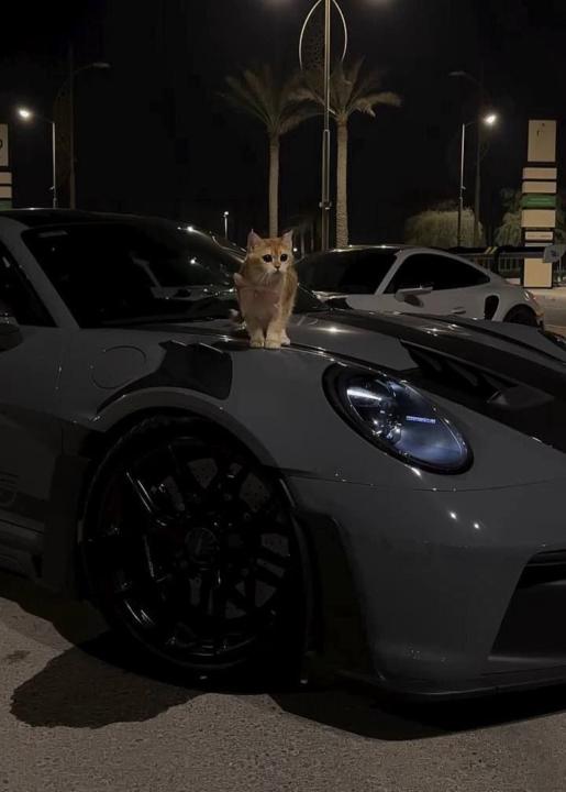 Qquwebhiquwben Qiuwbeiquwbeiuqb