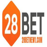 Betnew Com