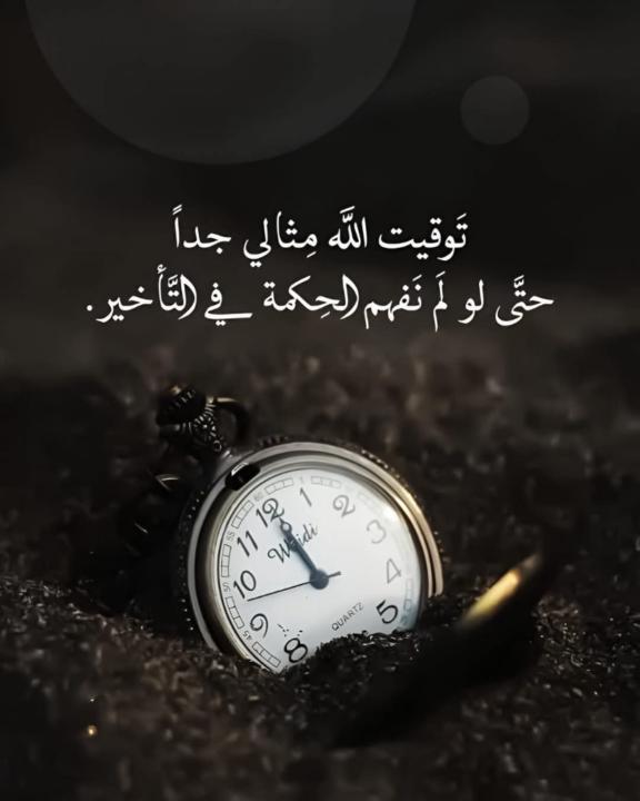 Ola Elwan