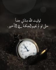 Ola Elwan