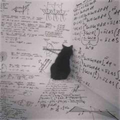 The math lover -Euler's friend's friend