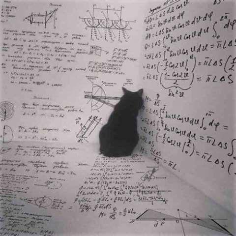 The math lover -Euler's friend's friend