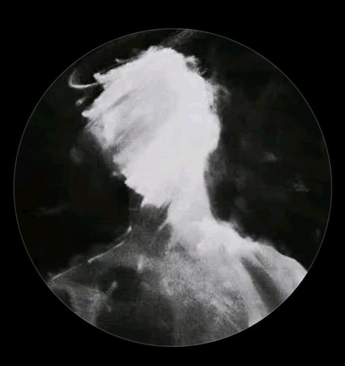 Agasthieswaran A
