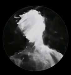 Agasthieswaran A