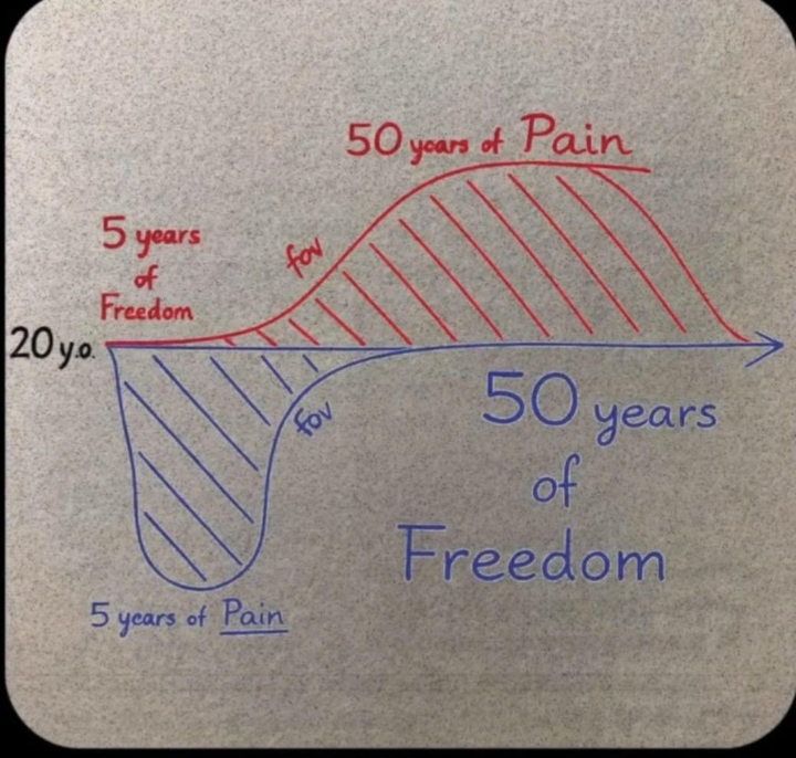 This chart sums up wholesaling while young for 5 years