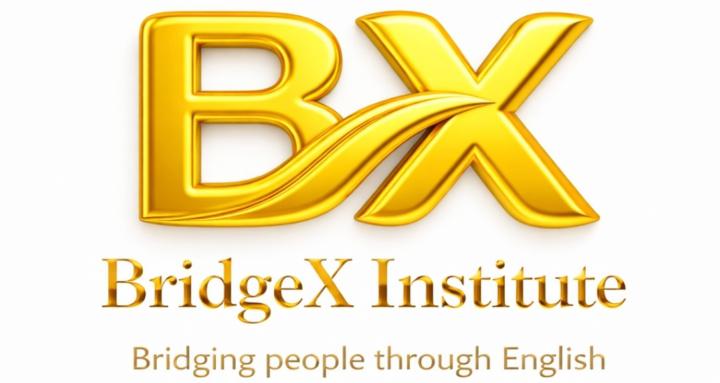 BRIDGEX INSTITUTE