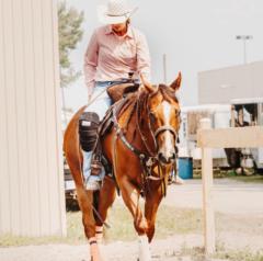 Cindy Bergeron
