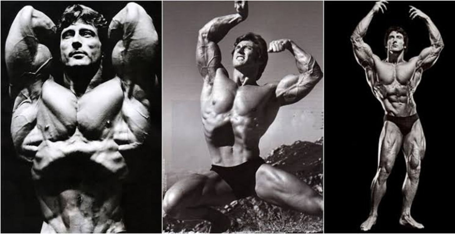 THE BALANCED BODYBUILDER
