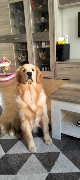 Valentina R. Donne in digitale