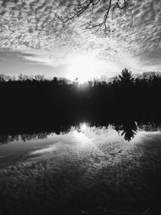 Judy Keyser