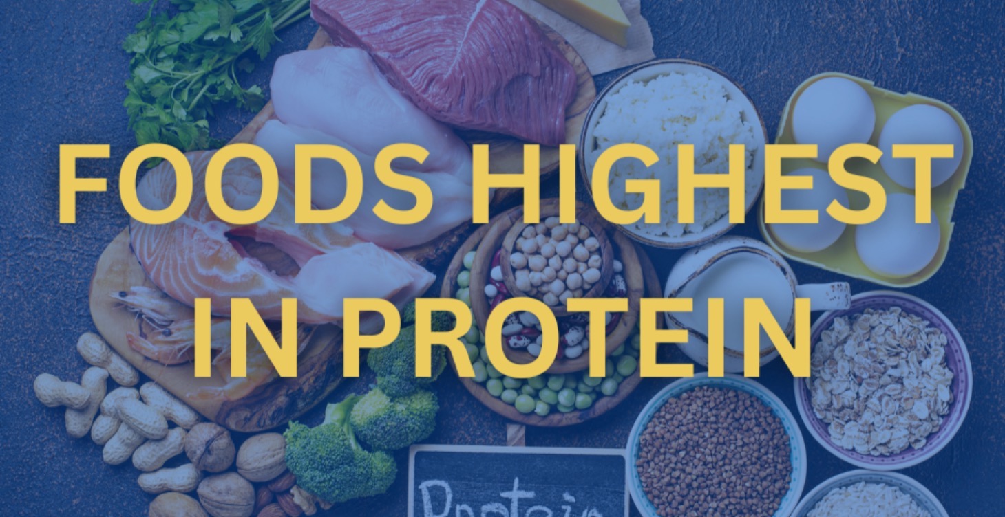 Foods Highest in Protein