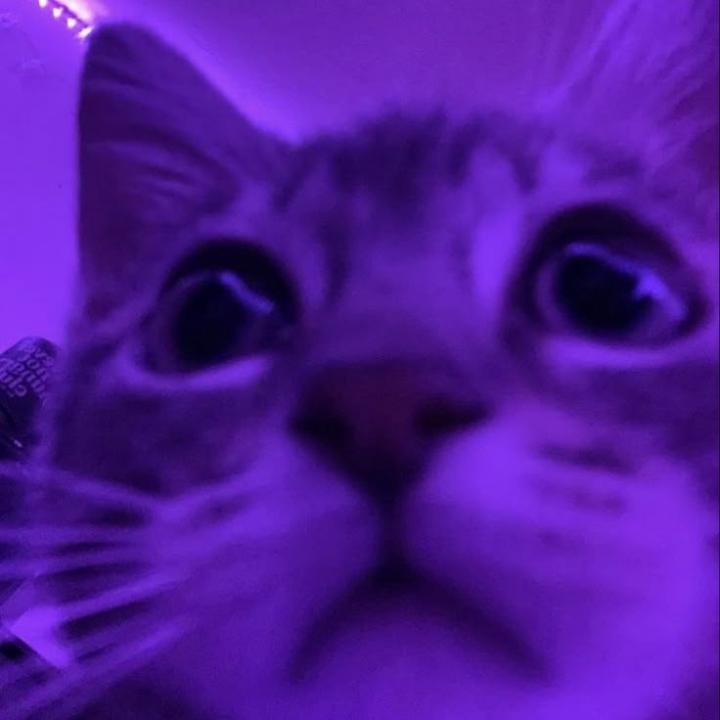 Masego Mamodupi Morake