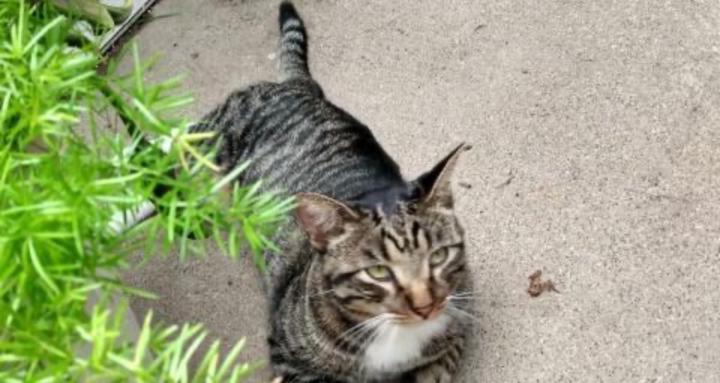 Braxis's dragon cave