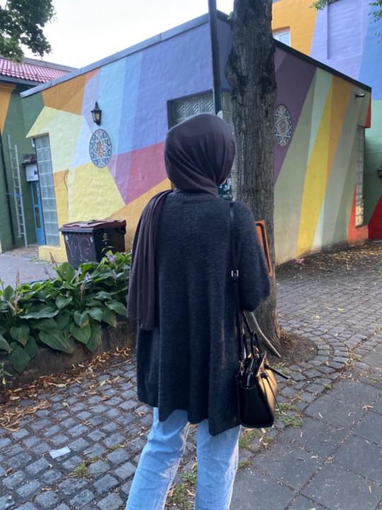 Lejla Alzayegh