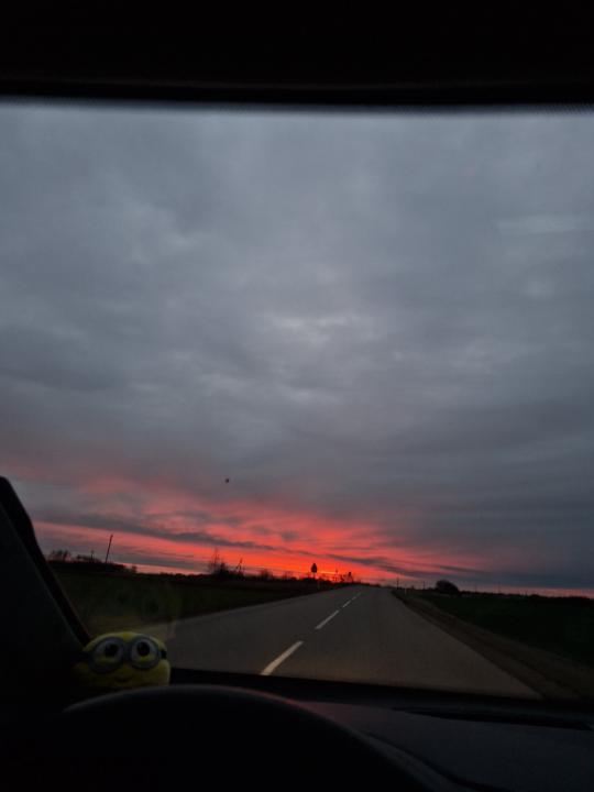 Urtė Balčiūnaitė