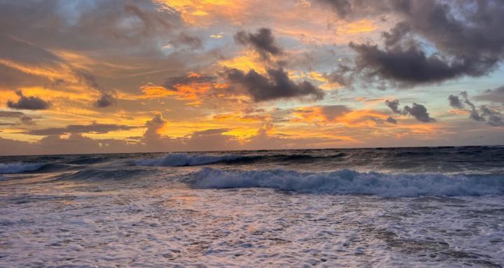 Clarity Collective Palm Beach