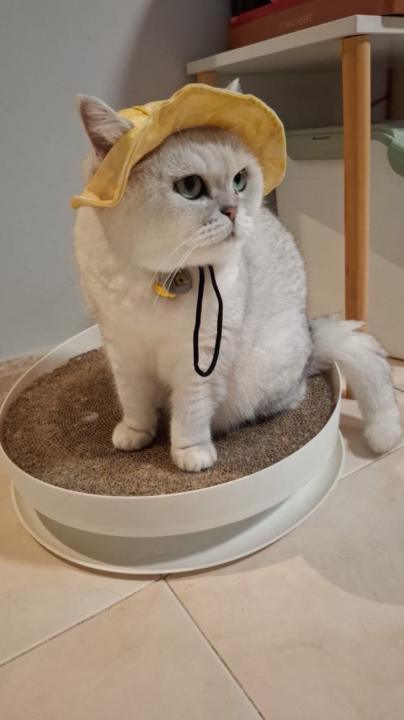 Au Ka ming