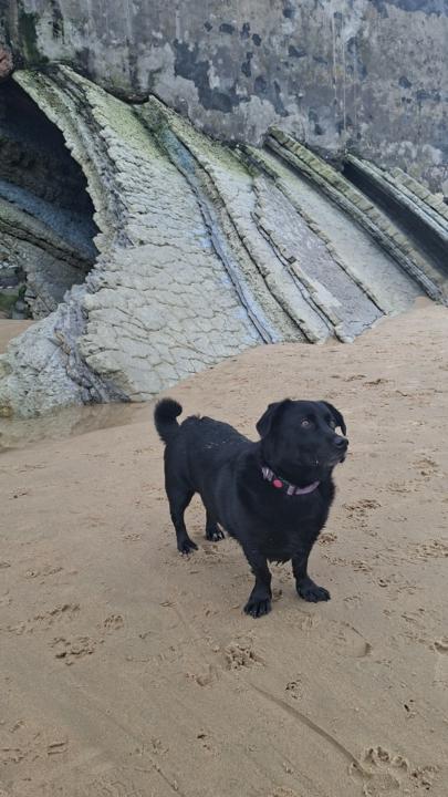 Naroa Guillan valdes