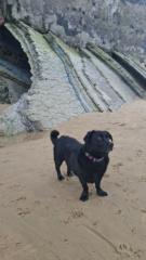 Naroa Guillan valdes