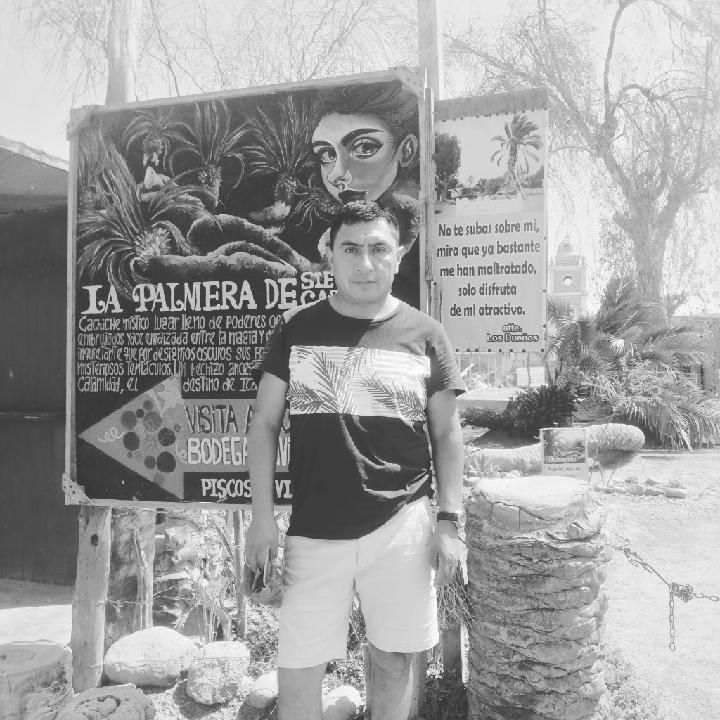 Jesus Tapia Camposano