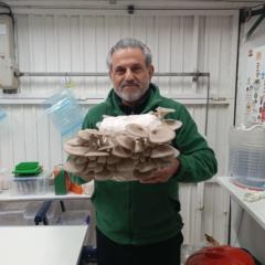 Francisco Pantoja Rodriguez