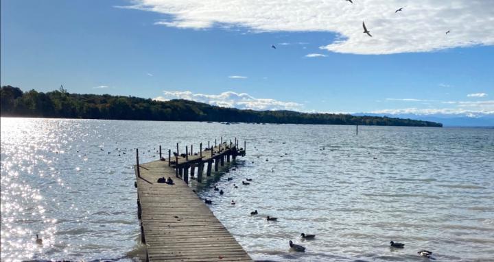 VITAL FLOW💧 Marielu Meiendres