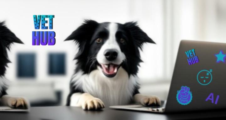 Vet HUB