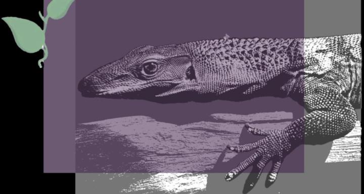 Riddler Reptiles