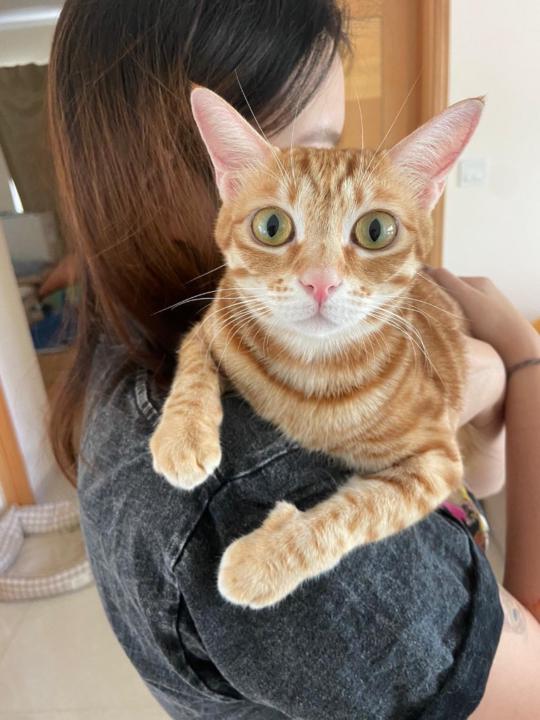 Ginni Ng