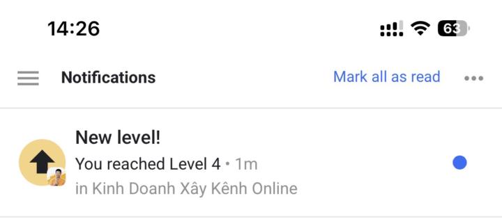 Level 4
