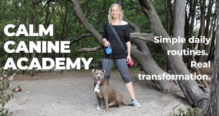 Calm Canine Academy