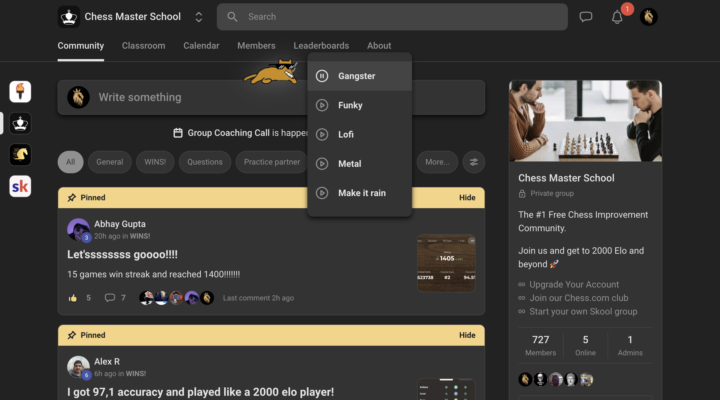 A gangster cat has appeared 